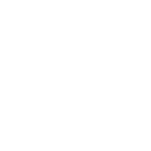 customer-centricity